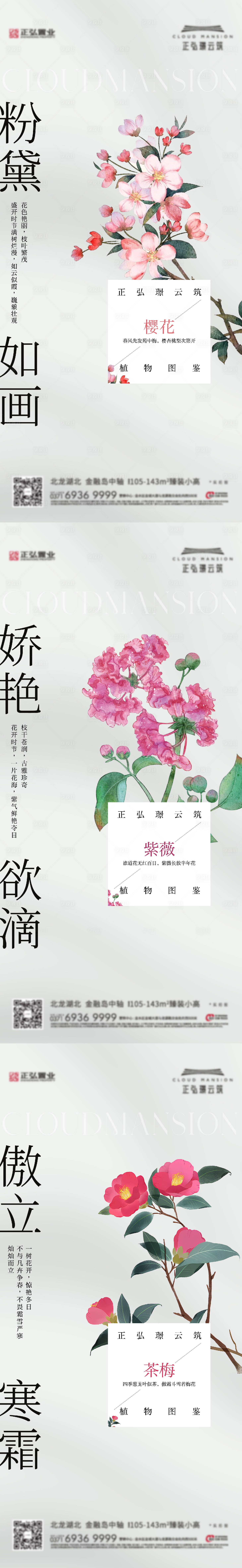 源文件下载【享设计】搜索编号：52600035097091470【价值海报植物图鉴】