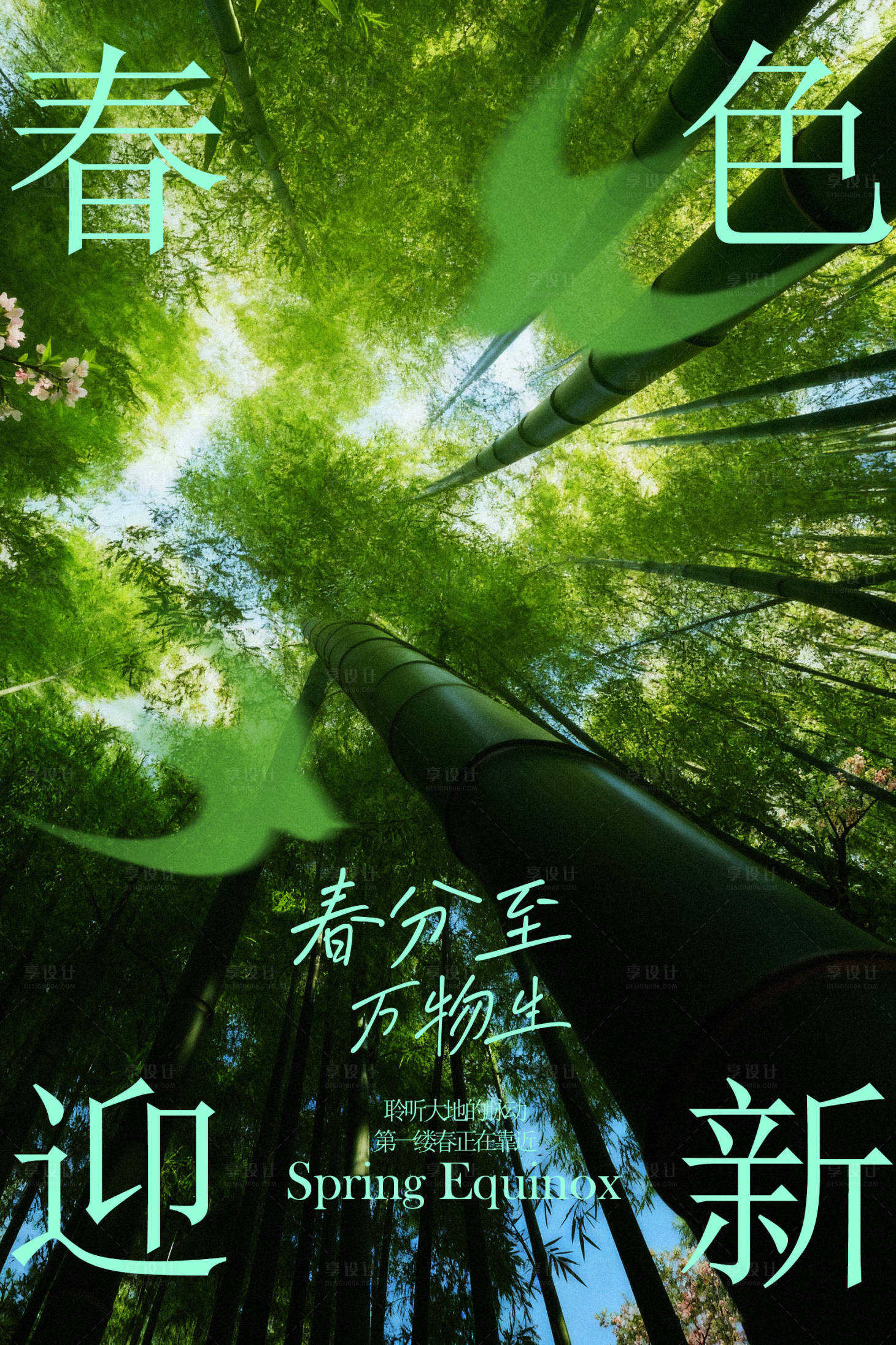 源文件下载【享设计】搜索编号：62640035012656070【春分节气绿色竹林海报】