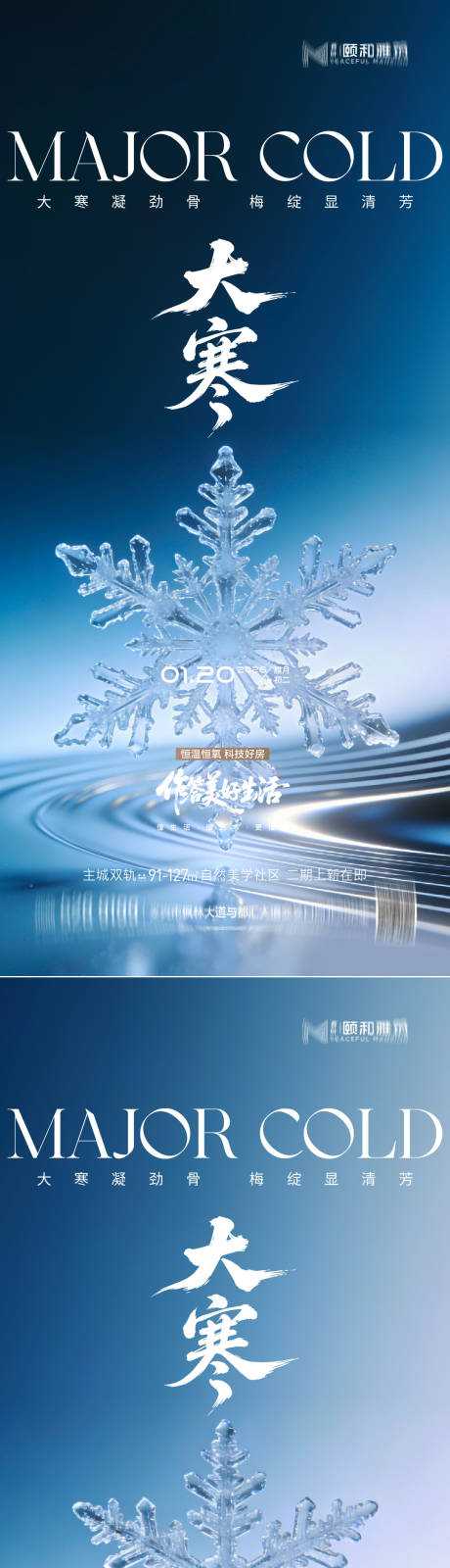 源文件下载【享设计】搜索编号：81050034998699888【大寒节气节日海报雪】