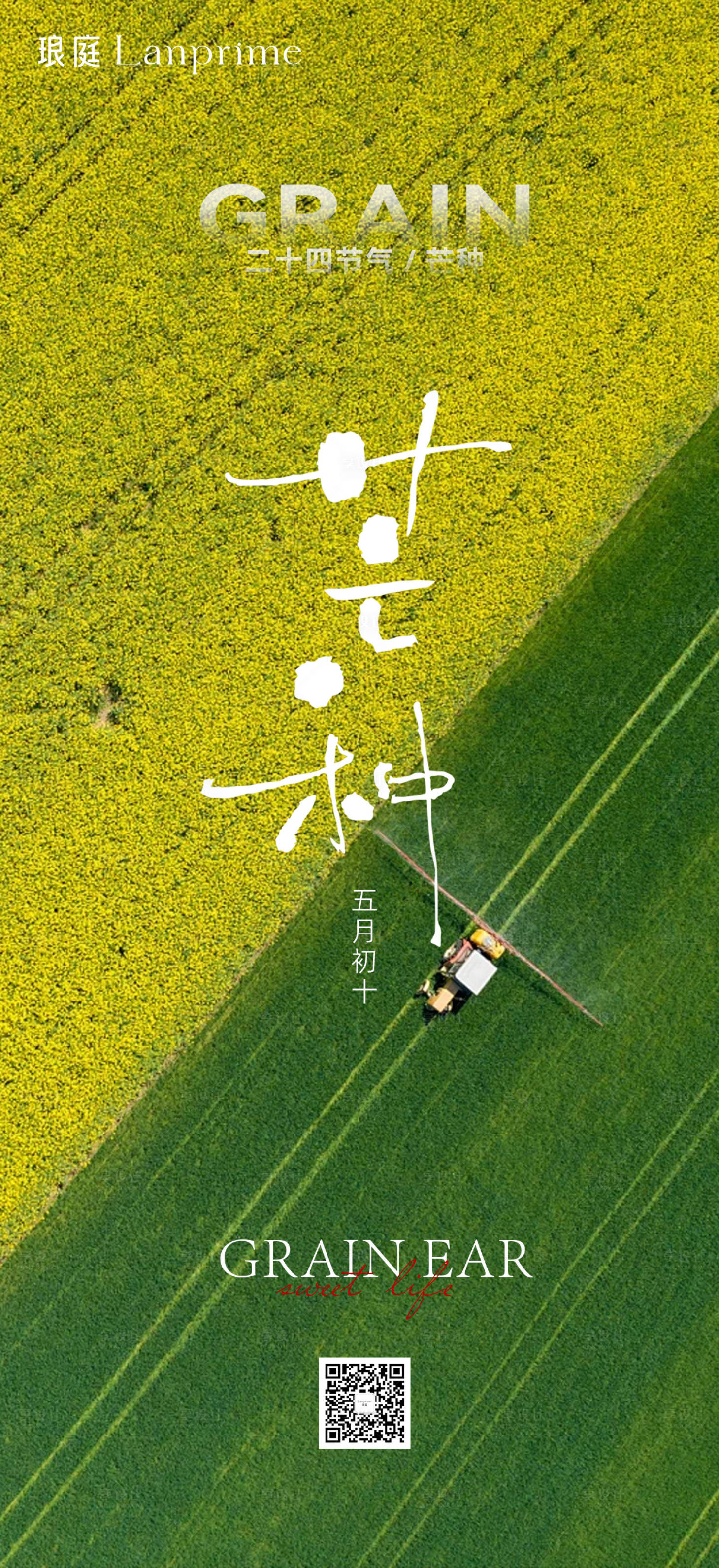 源文件下载【享设计】搜索编号：92840035265474913【芒种海报】