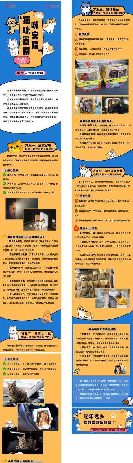 源文件下载【享设计】搜索编号：66680035269995383【过年回家猫咋办推文】