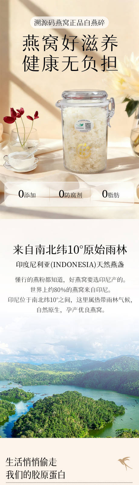 源文件下载【享设计】搜索编号：41680034952521120【燕窝详情页】