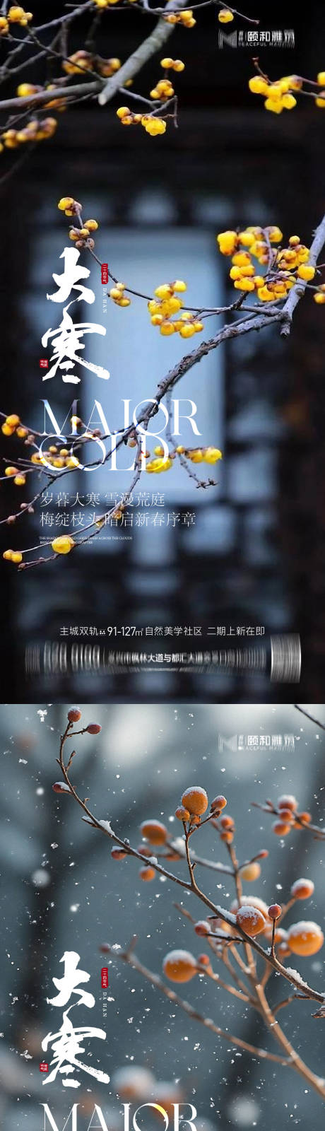 源文件下载【享设计】搜索编号：88100035031128034【大寒节气节日海报雪梅花腊梅】