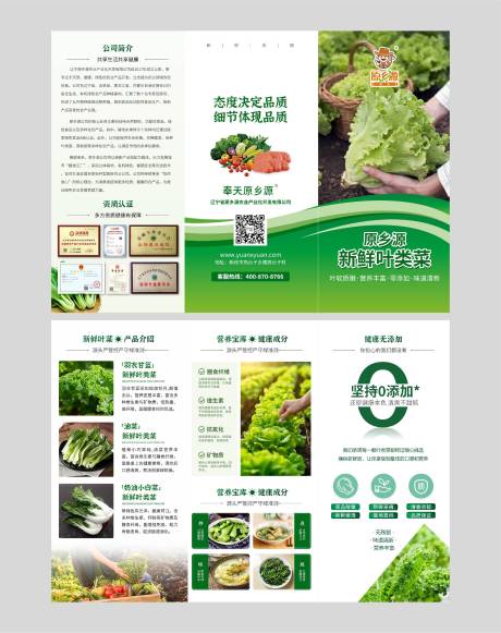 源文件下载【享设计】搜索编号：52600034943352435【叶菜蔬菜生鲜三折页】