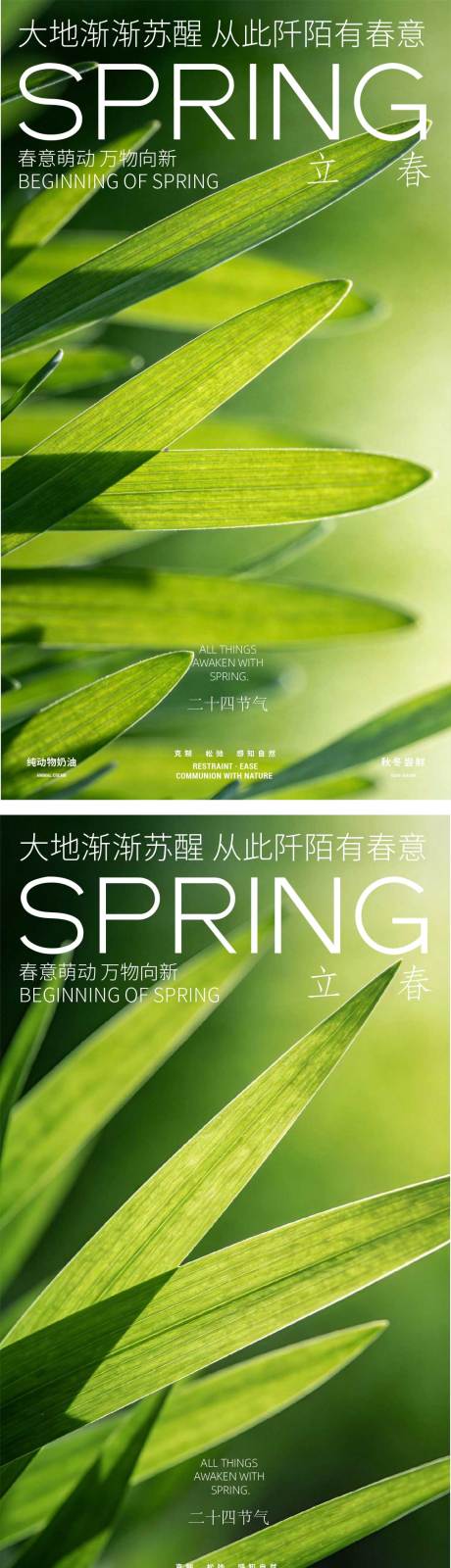 源文件下载【享设计】搜索编号：53830035304629841【立春海报】