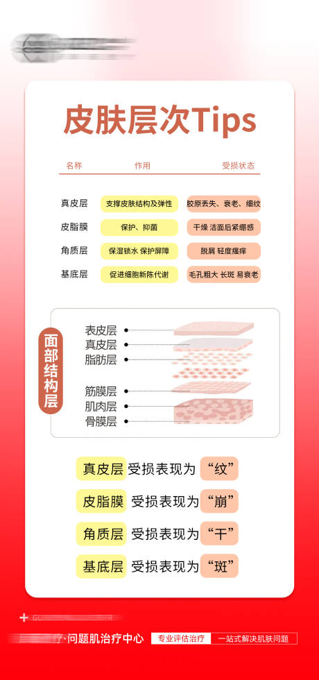 源文件下载【享设计】搜索编号：73180035266291398【医美皮肤分层科普】