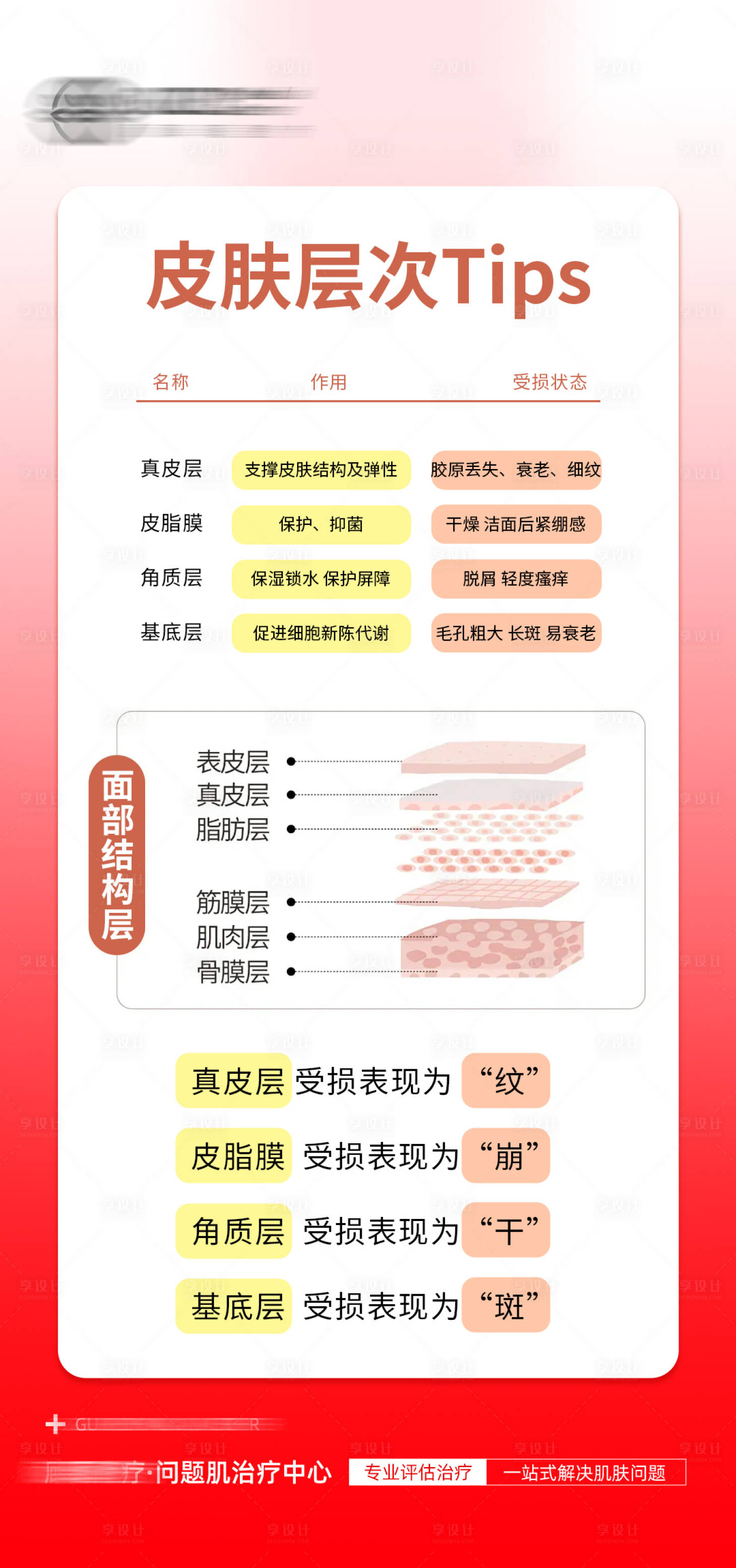 源文件下载【享设计】搜索编号：73180035266291398【医美皮肤分层科普】