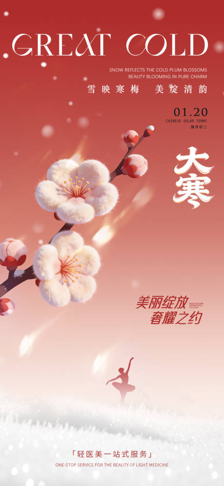 源文件下载【享设计】搜索编号：86500034911774025【大寒医美创意海报】