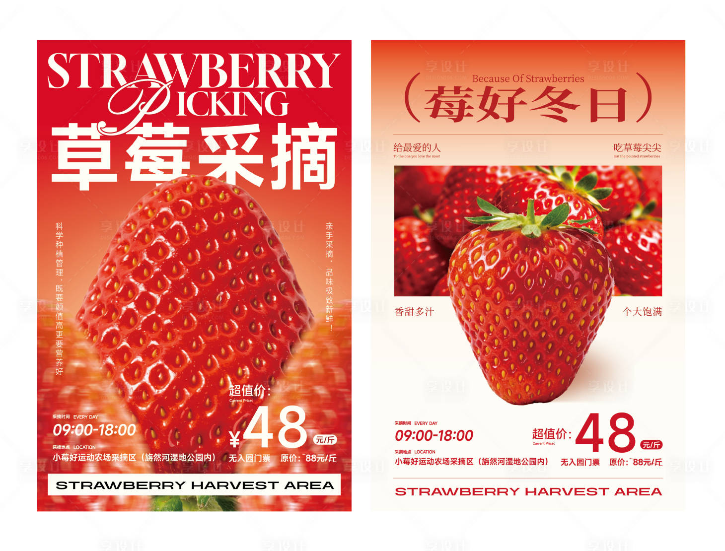 源文件下載【享設(shè)計】搜索編號：48640035067353827【草莓采摘系列海報】
