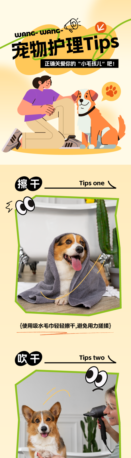 源文件下载【享设计】搜索编号：67500035282236471【宠物护理注意事项插画风长图】