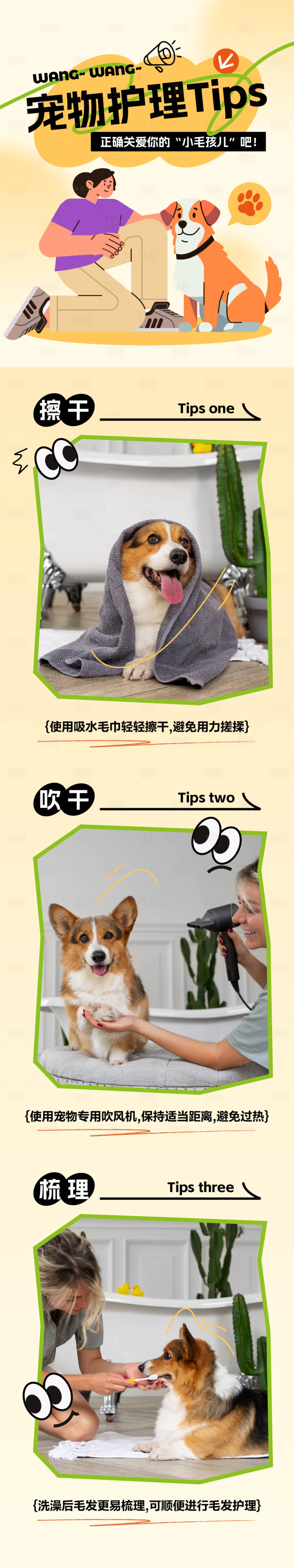 源文件下载【享设计】搜索编号：67500035282236471【宠物护理注意事项插画风长图】