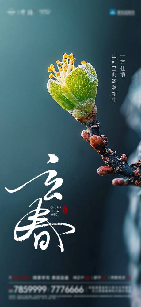 源文件下载【享设计】搜索编号：71270035112523751【立春】