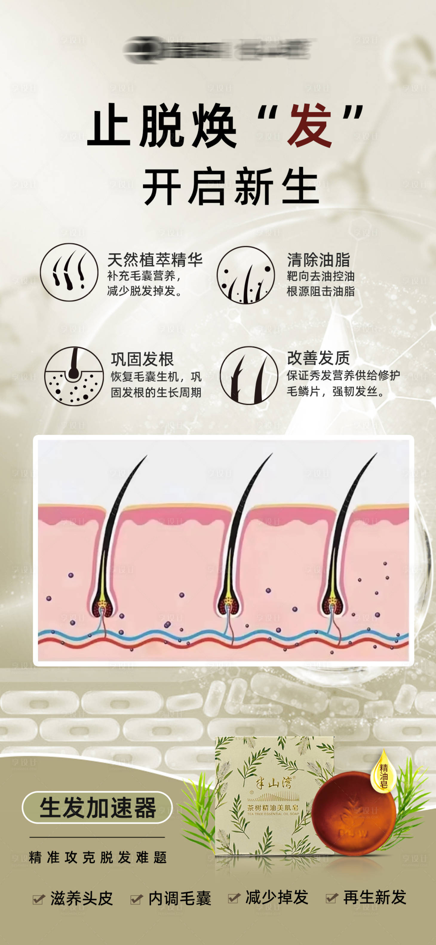 源文件下载【享设计】搜索编号：68540035108282024【植物精油皂宣传海报】