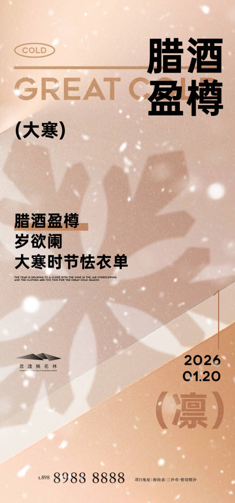 源文件下载【享设计】搜索编号：24900034838435464【大寒质感海报】