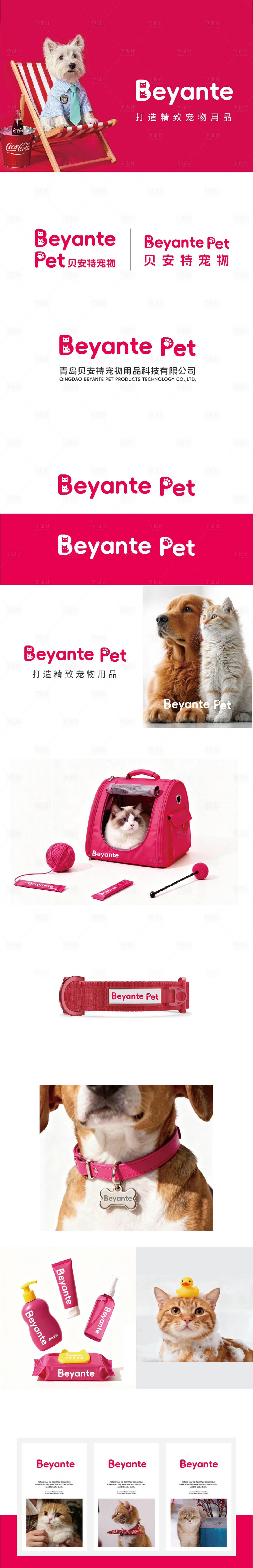 源文件下载【享设计】搜索编号：94900035136497977【宠物用品公司提案】