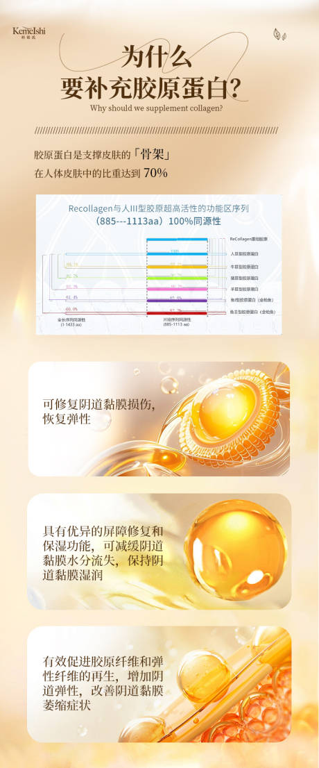 源文件下载【享设计】搜索编号：62900035048478386【胶原蛋白功能】