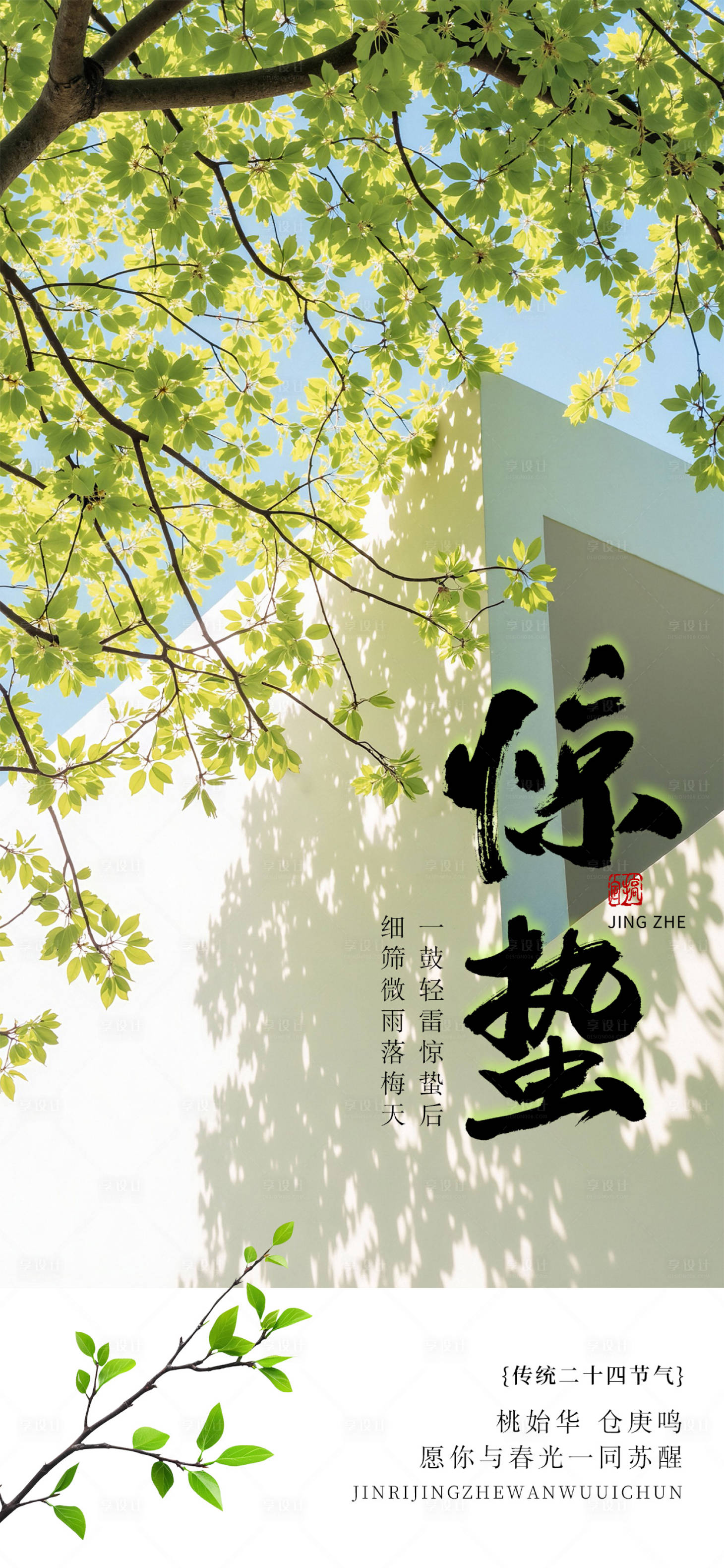 源文件下载【享设计】搜索编号：87530035468015210【春天节气惊蛰实景海报】