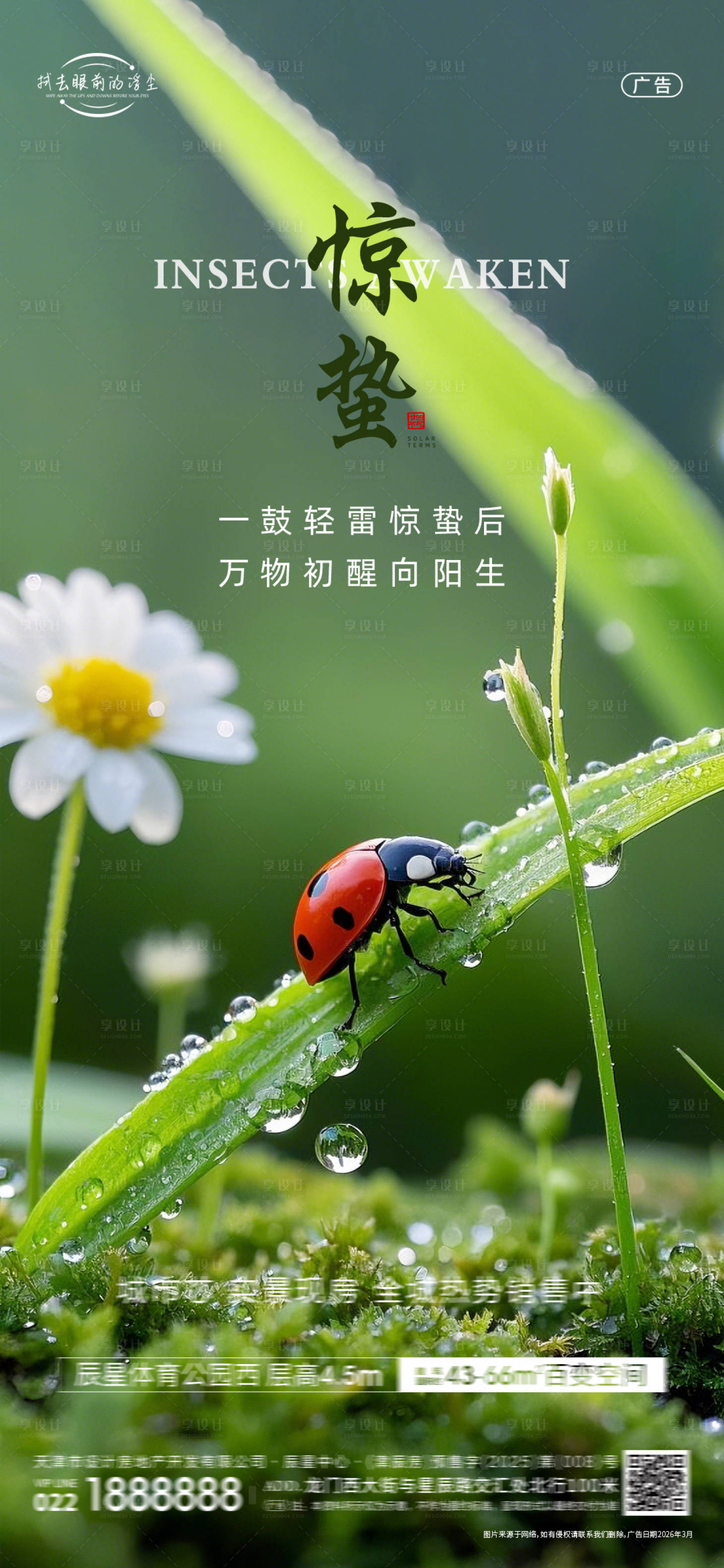 源文件下载【享设计】搜索编号：86250035421908233【惊蛰节气海报】