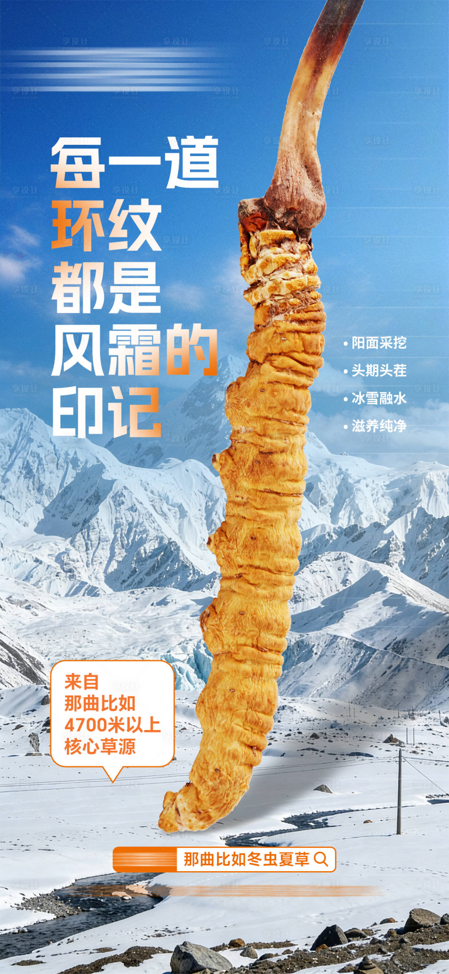 源文件下载【享设计】搜索编号：79340035378217044【冬虫夏草】