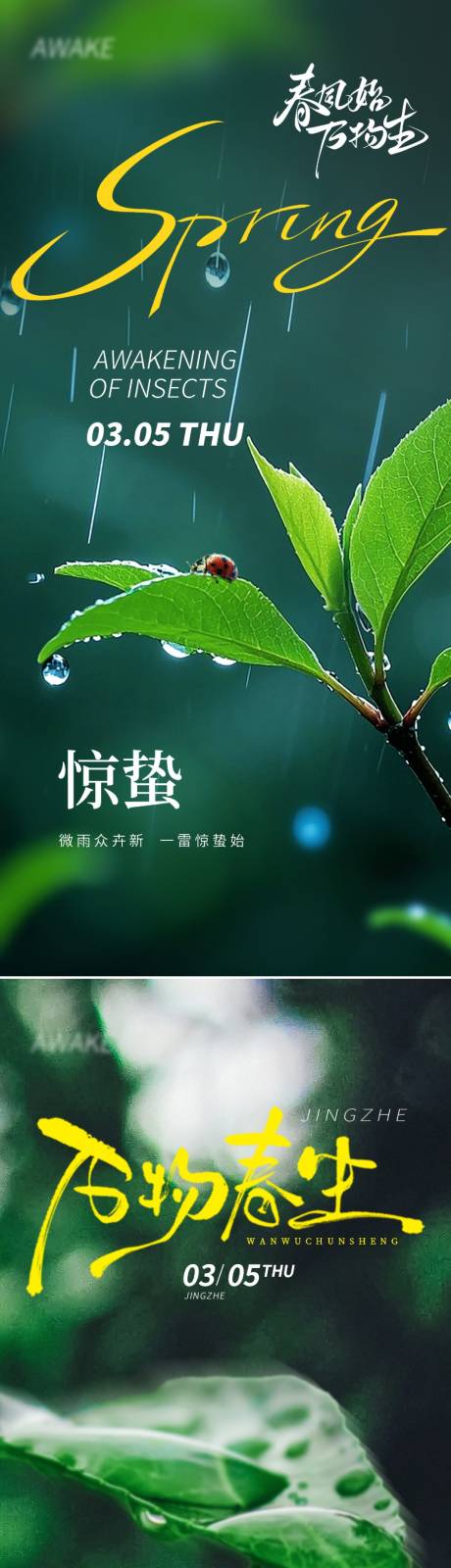 源文件下载【享设计】搜索编号：65080035410471590【惊蛰节气海报】