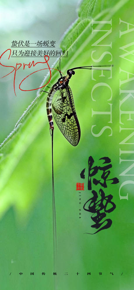 源文件下载【享设计】搜索编号：95780035545529214【惊蛰二十四节气海报】