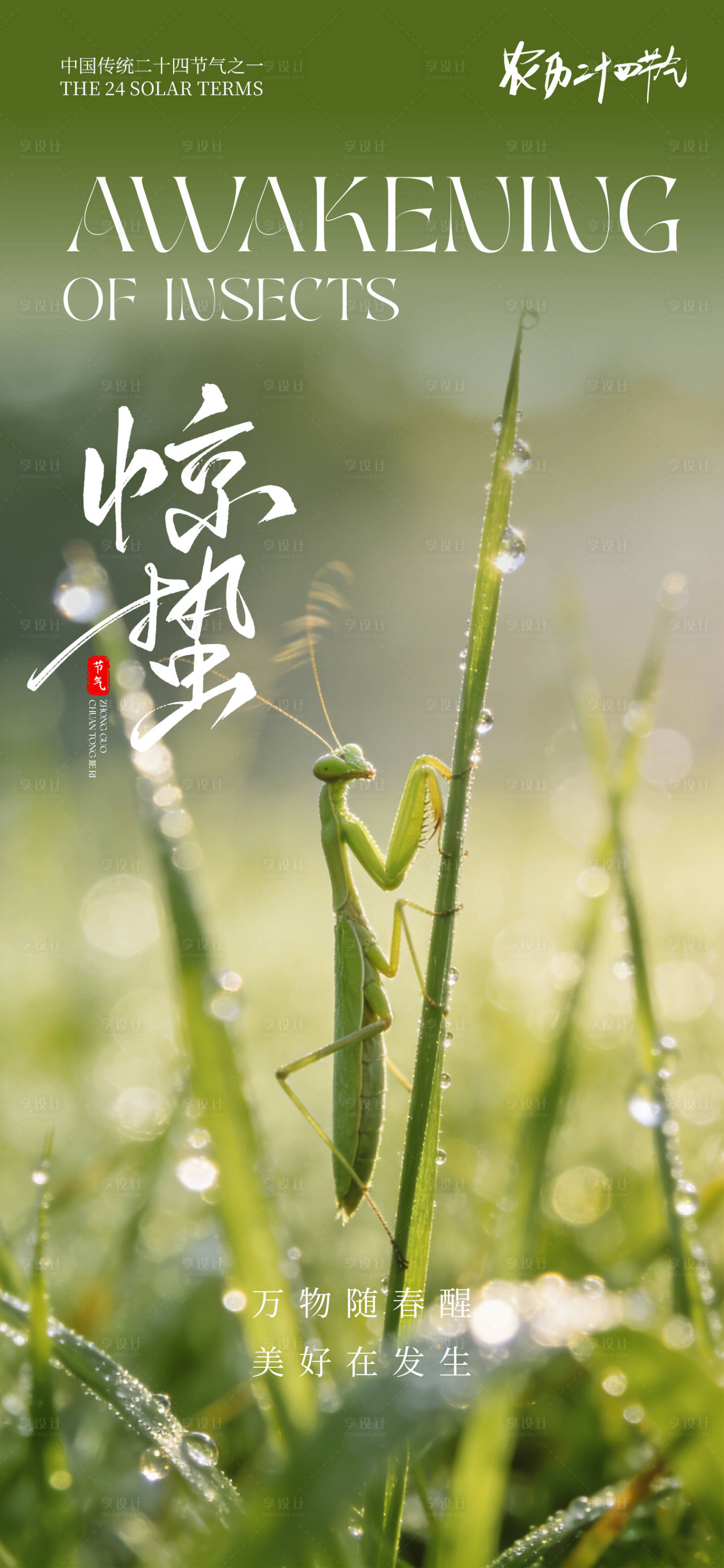 源文件下载【享设计】搜索编号：34250035340781686【24节气传统节日惊蛰海报】