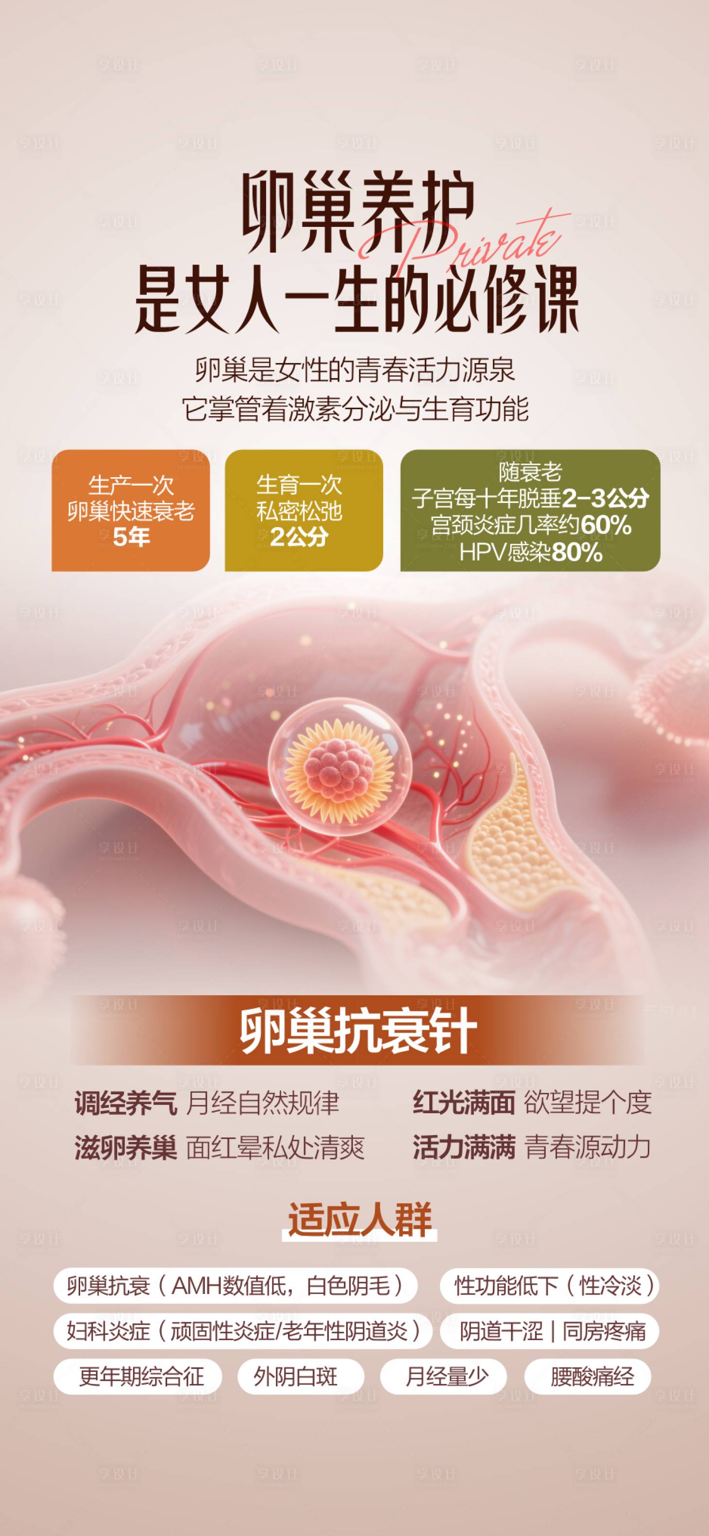 源文件下载【享设计】搜索编号：95000035397534121【私密修复私密抗衰私密整形】