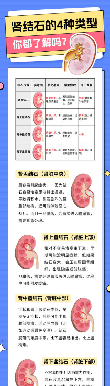 源文件下载【享设计】搜索编号：13420035522054489【肾结石科普】