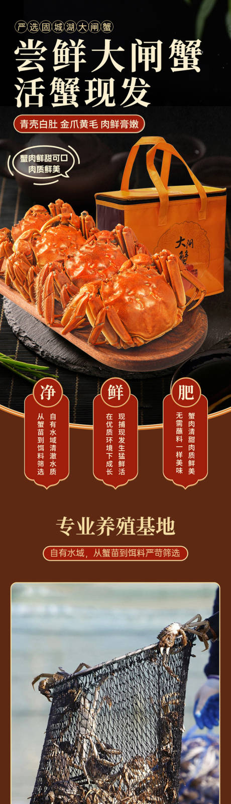 源文件下载【享设计】搜索编号：80000035501578799【大闸蟹详情页】