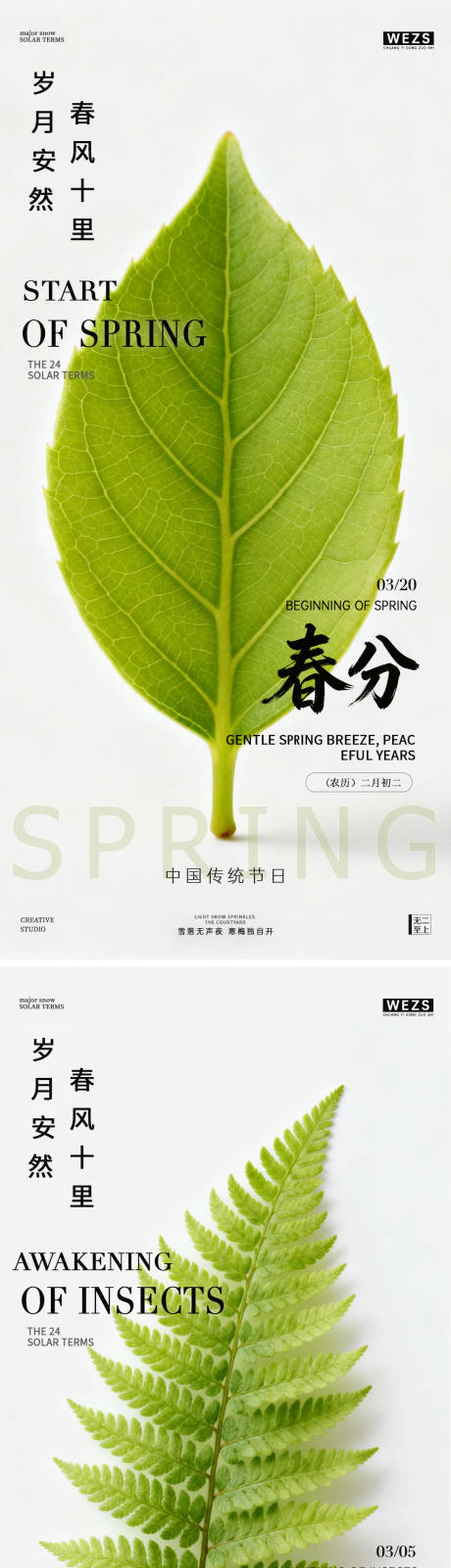 源文件下载【享设计】搜索编号：19040035509008470【惊蛰春分叶子系列海报】