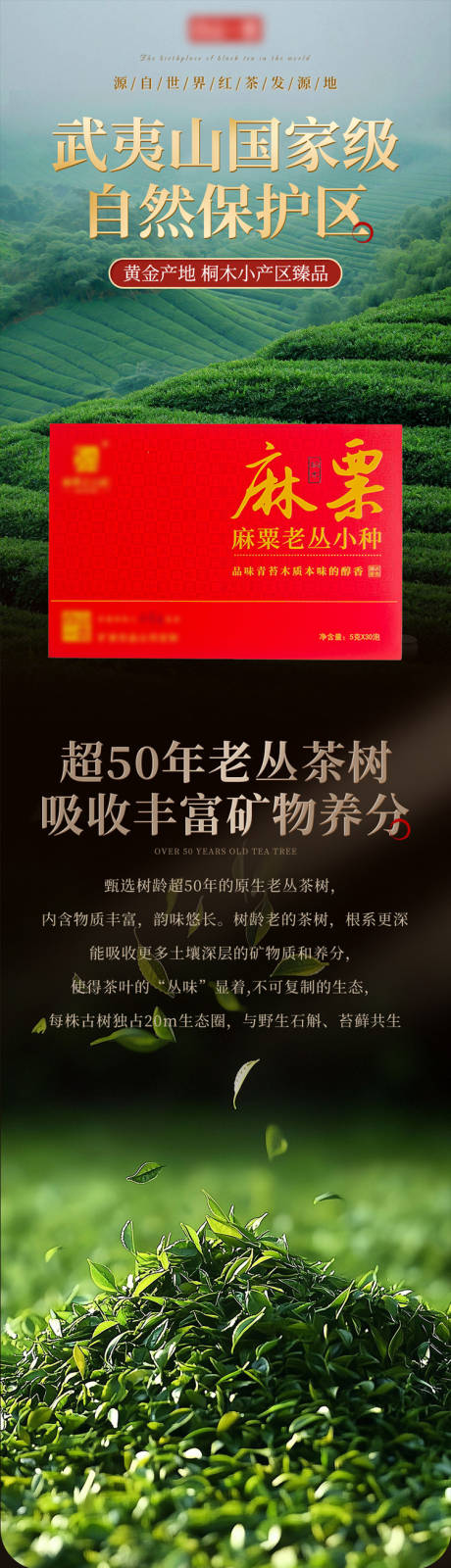 源文件下载【享设计】搜索编号：76100035490488045【老丛小种红茶中式详情页】