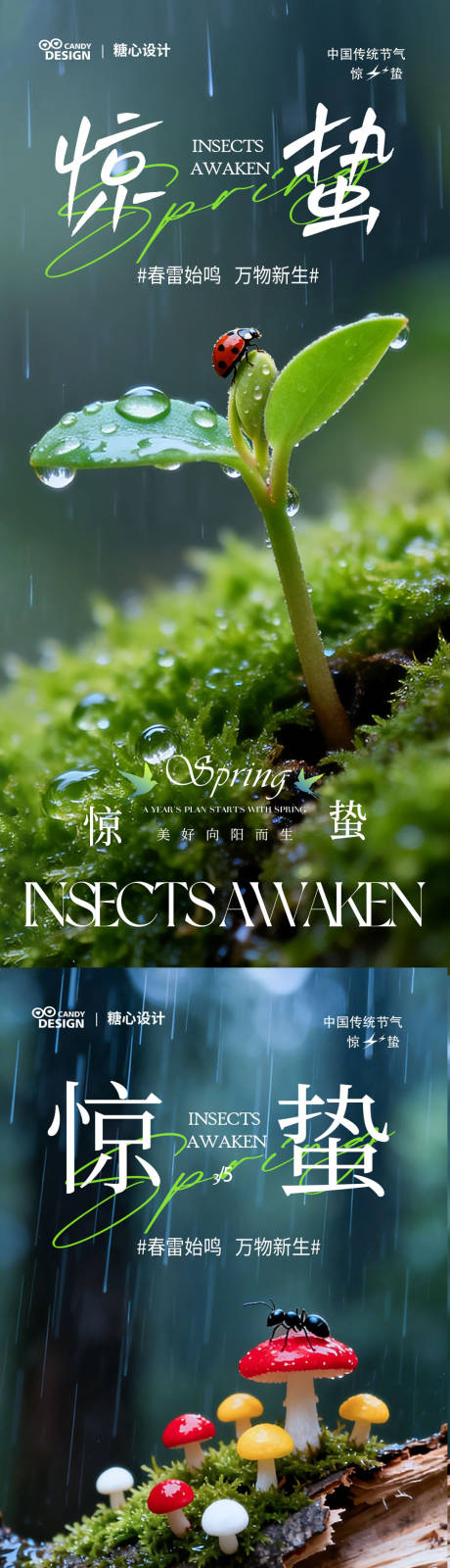 源文件下载【享设计】搜索编号：52880035506688459【惊蛰海报 】