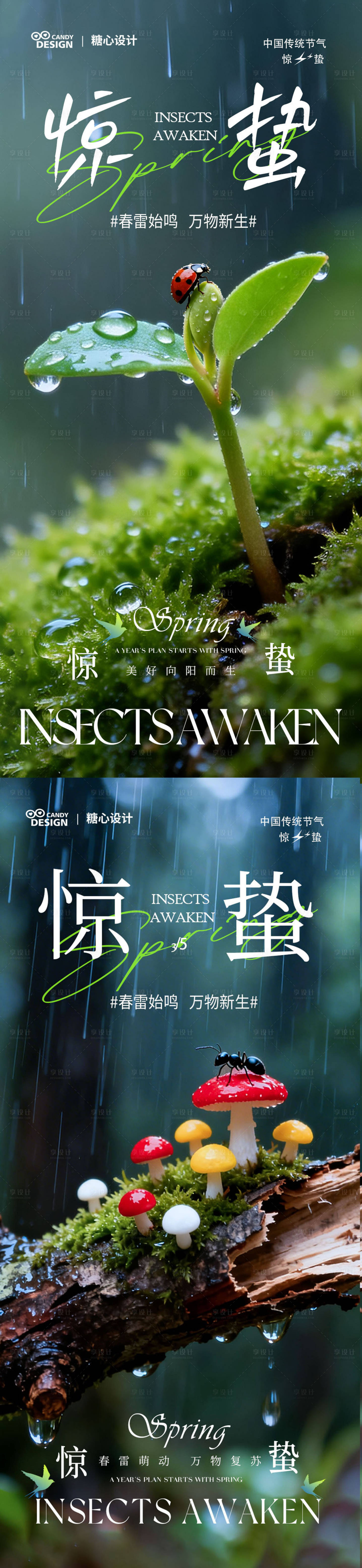 源文件下载【享设计】搜索编号：52880035506688459【惊蛰海报 】
