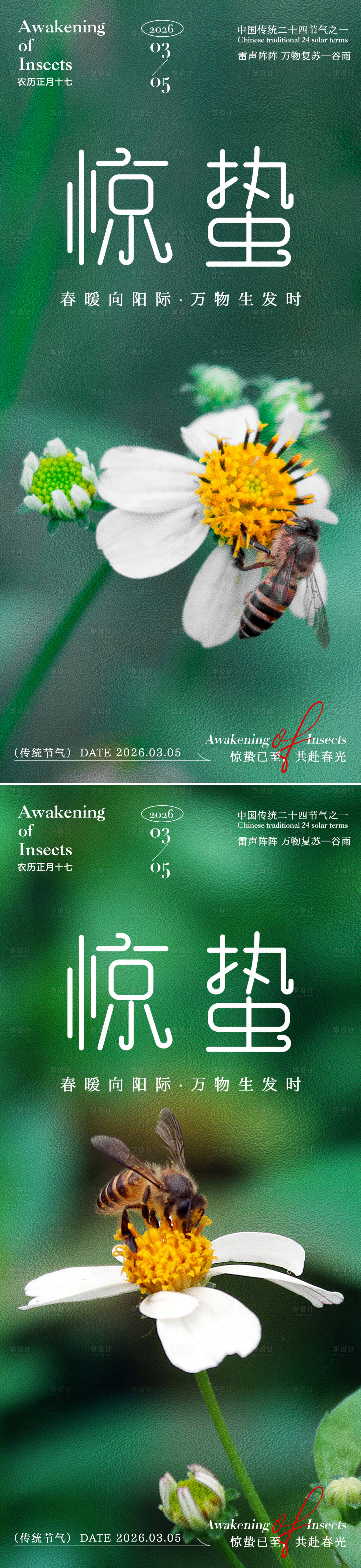 源文件下载【享设计】搜索编号：15650035388904708【惊蛰绿色背景海报】