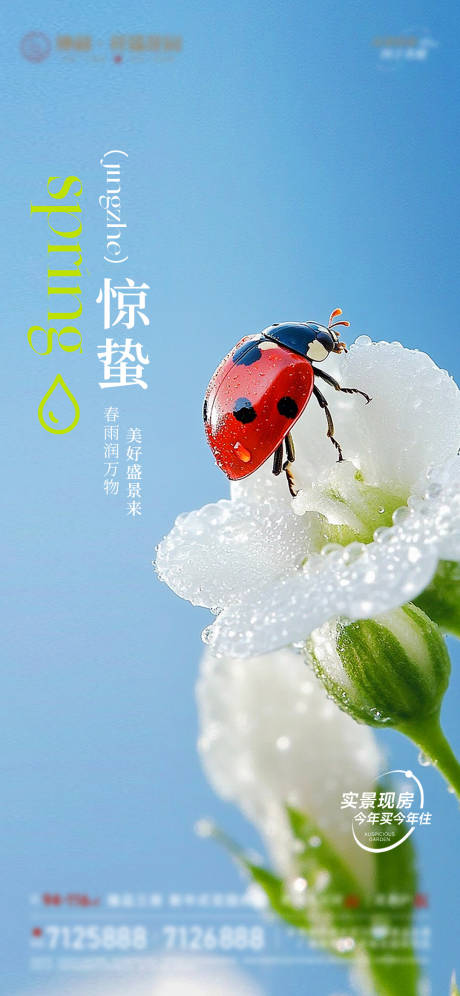 源文件下载【享设计】搜索编号：25870035536485569【惊蛰】