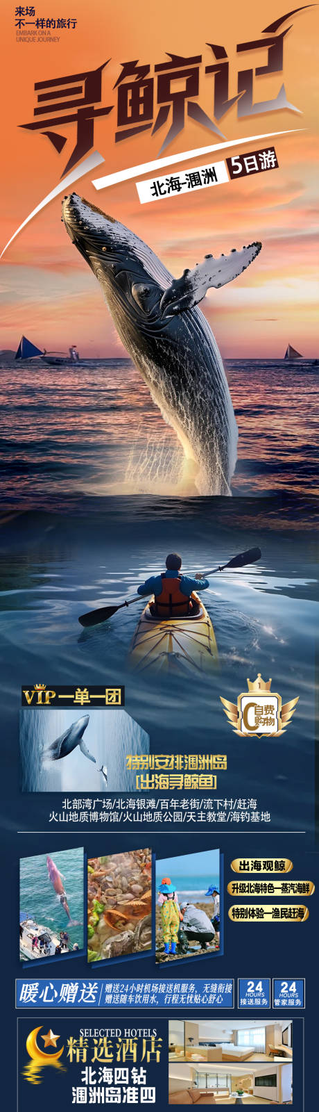 源文件下载【享设计】搜索编号：42780035555858358【寻鲸记海报】