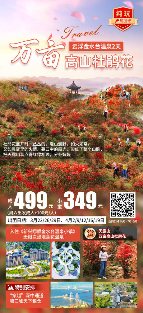 源文件下载【享设计】搜索编号：49680035552402878【高山杜鹃花】