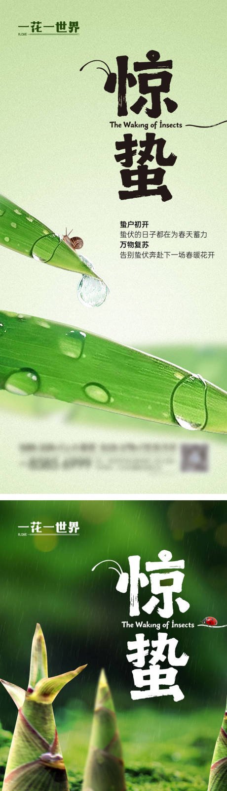 源文件下载【享设计】搜索编号：44090035567027065【惊蛰节气系列海报】