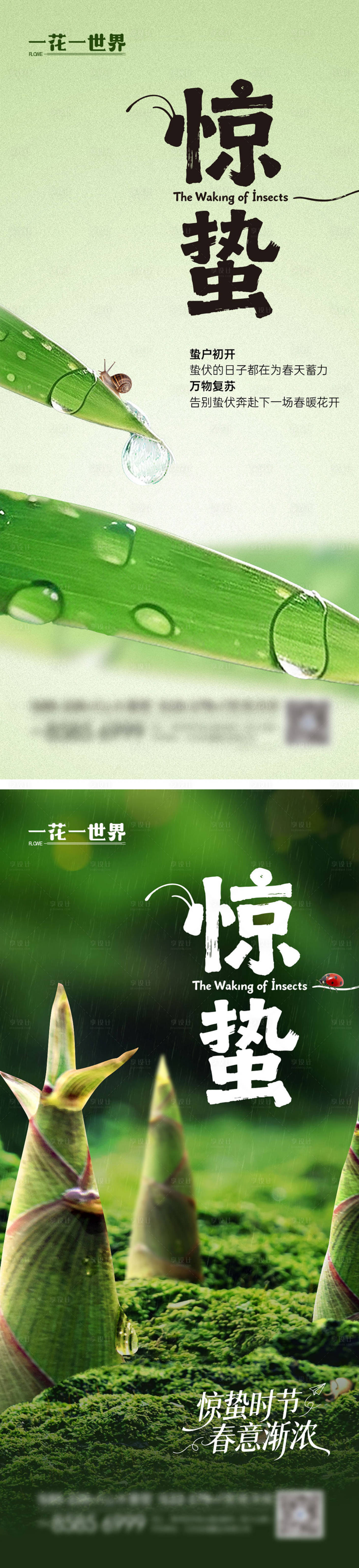 源文件下载【享设计】搜索编号：44090035567027065【惊蛰节气系列海报】
