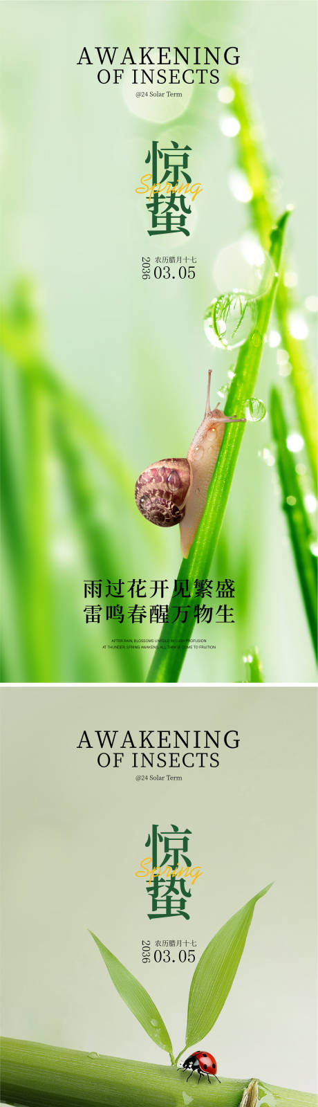 源文件下载【享设计】搜索编号：30600035491004471【惊蛰海报】