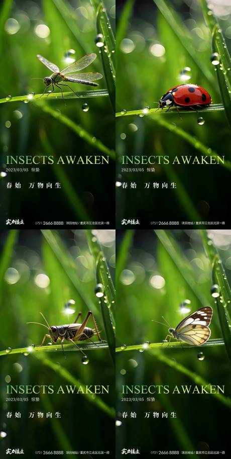 源文件下载【享设计】搜索编号：24150035534249565【惊蛰节气系列海报】