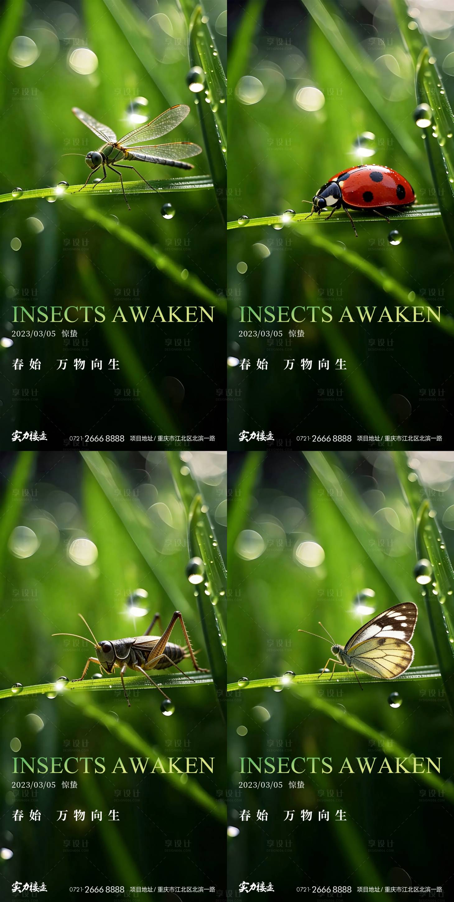 源文件下载【享设计】搜索编号：24150035534249565【惊蛰节气系列海报】