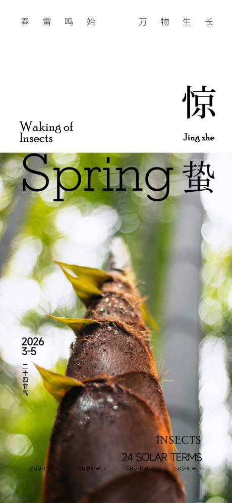 源文件下载【享设计】搜索编号：65870035533191884【二十四惊蛰节气海报】