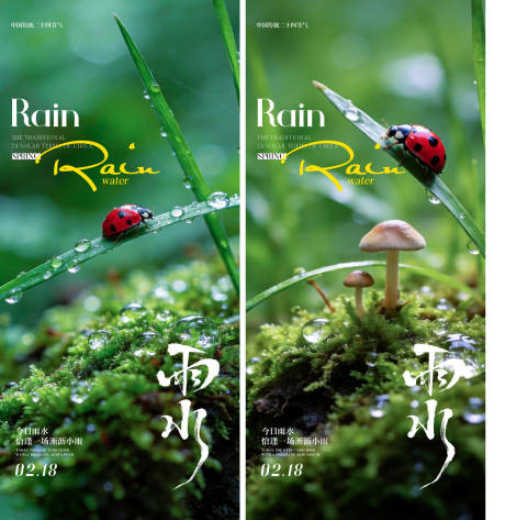 源文件下载【享设计】搜索编号：67070035413503022【雨水节气海报】