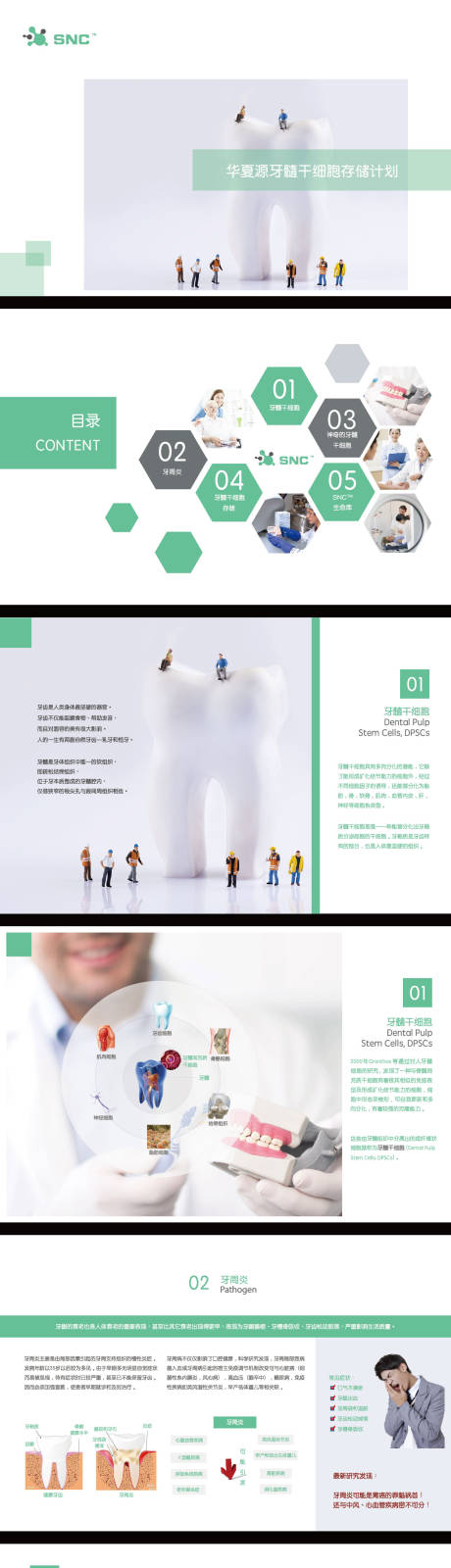 源文件下载【享设计】搜索编号：88030035401979668【牙科医疗手册设计】