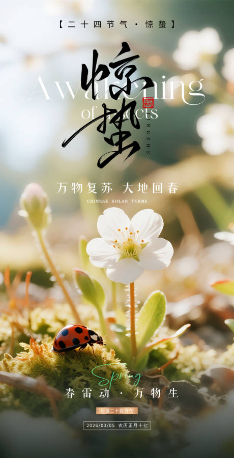 源文件下载【享设计】搜索编号：17800035562861283【惊蛰海报】