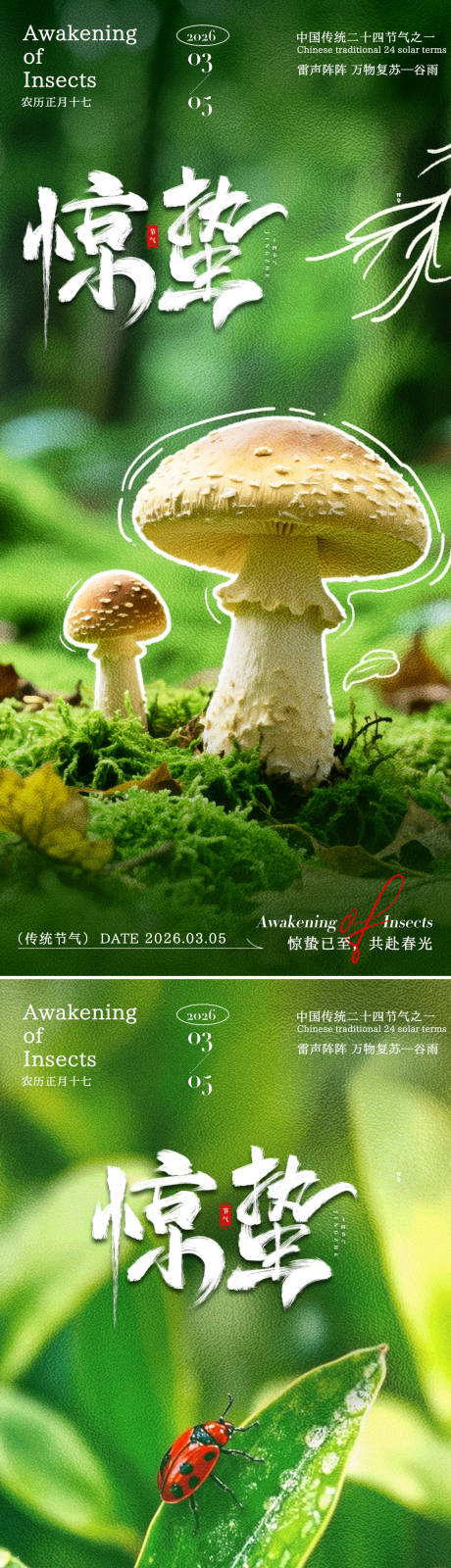 源文件下载【享设计】搜索编号：20840035388677169【惊蛰植物海报】