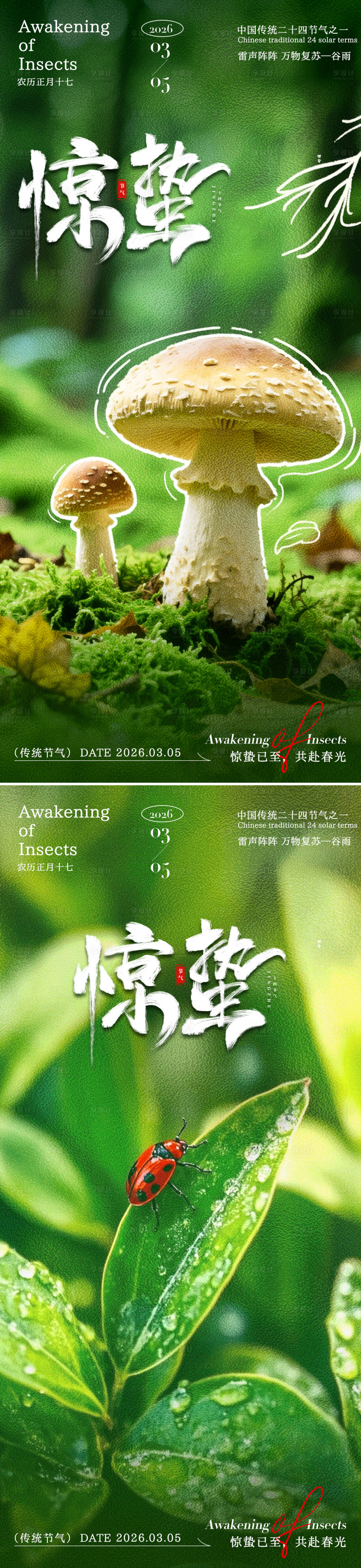 源文件下载【享设计】搜索编号：20840035388677169【惊蛰植物海报】