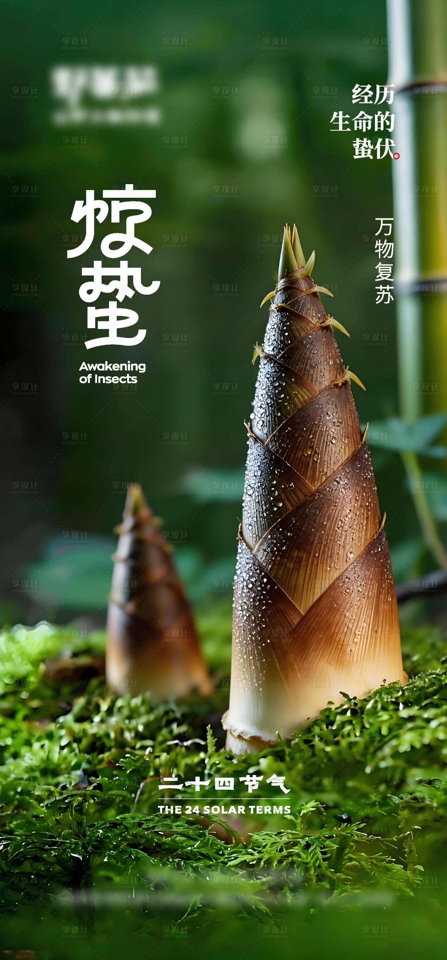 源文件下载【享设计】搜索编号：66920035536633550【惊蛰节气海报】