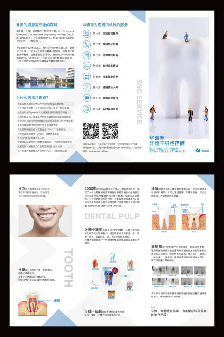 源文件下载【享设计】搜索编号：31450035403445558【牙科医疗三折页】